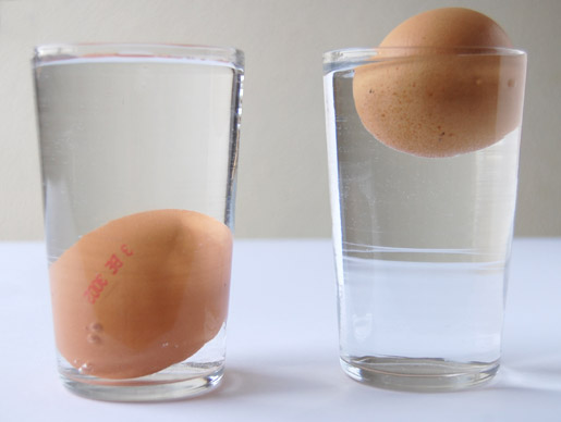 Attractive Faire Un Oeuf Poche #2: Oeuf-frais.jpg Attractive Faire Un Oeuf Poche #2: Oeuf-frais.jpg